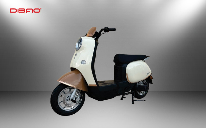 Xe máy điện Dibao Rosa